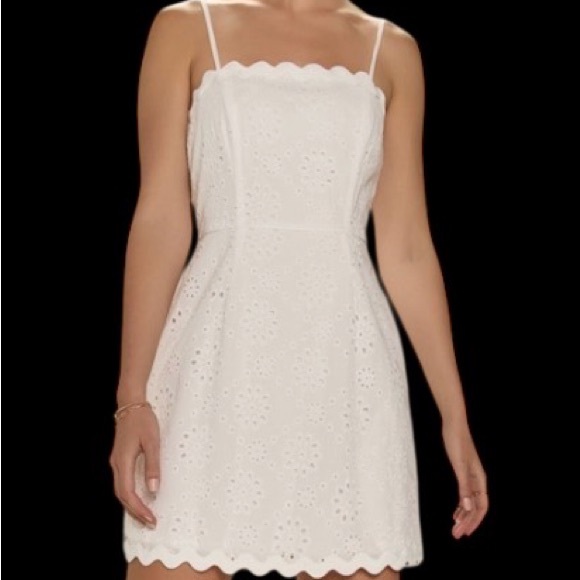 Roxanne Ric Rac Eyelet Mini Dress, size XL, NWT - Picture 4 of 14